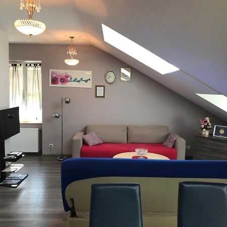 Rochire Location 1 Apartment Gérardmer Екстериор снимка