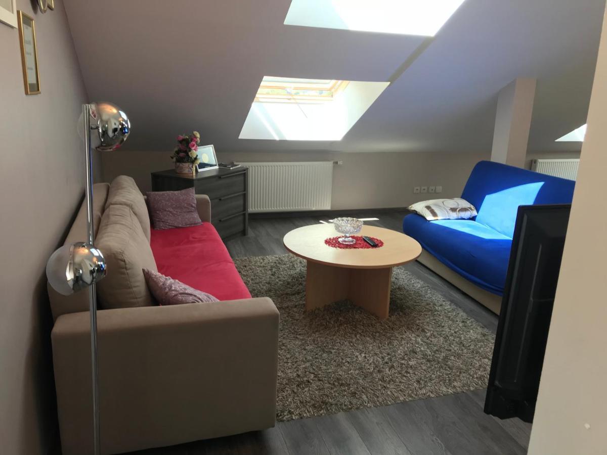 Rochire Location 1 Apartment Gérardmer Екстериор снимка