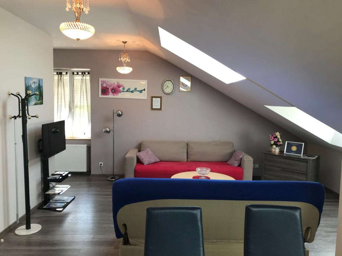 Rochire Location 1 Apartment Gérardmer Екстериор снимка