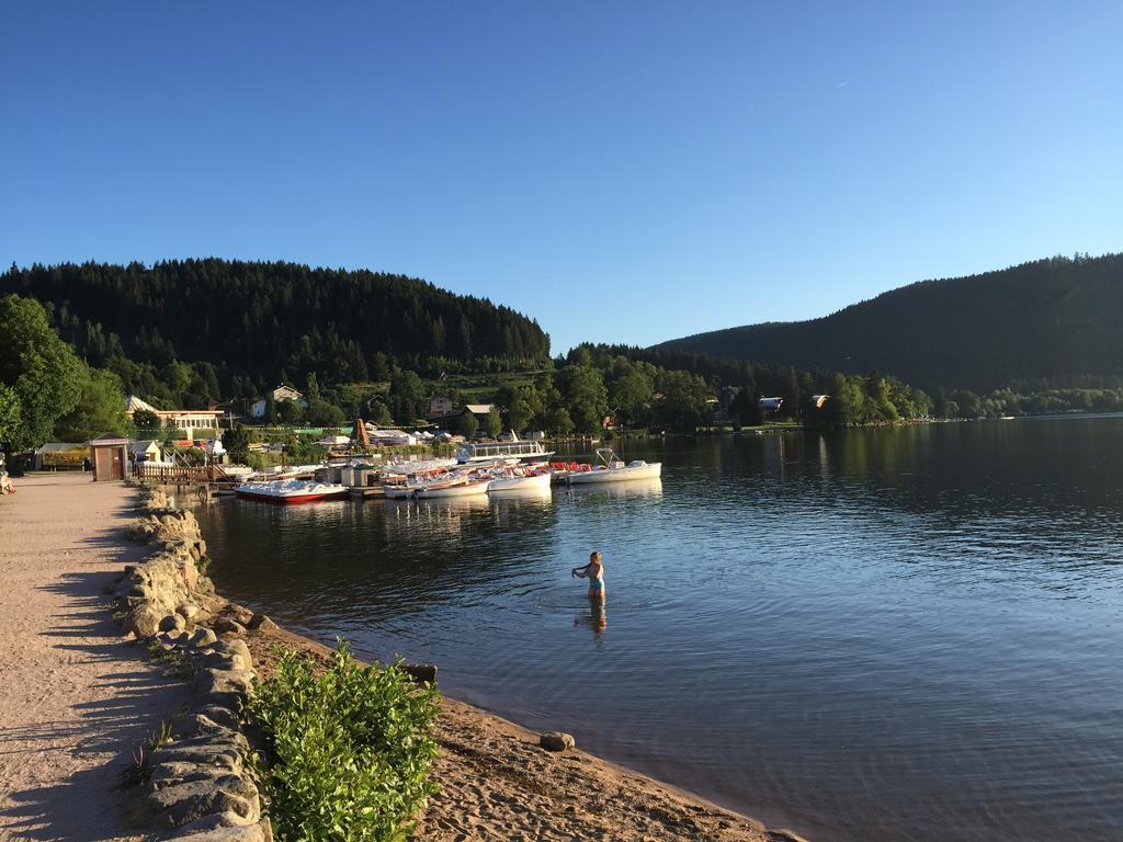 Rochire Location 1 Apartment Gérardmer Стая снимка